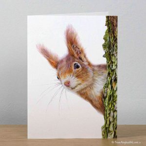 Red Alert Red Squirrel Greeting Card by Pencil artist Angie