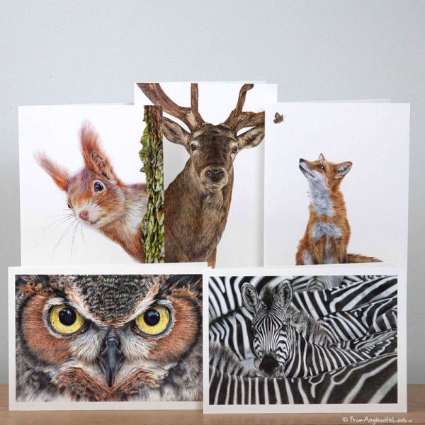 Wildlife portraits greeting cards pack by wildlife artist Angie