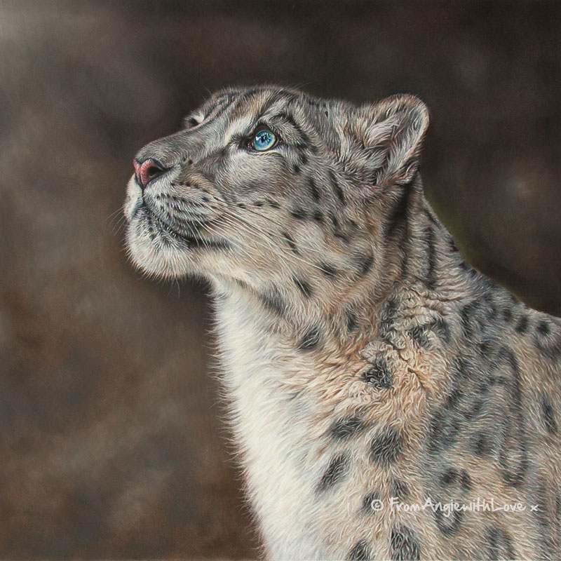 Mountain Spirit - Snow Leopard wildlife art print