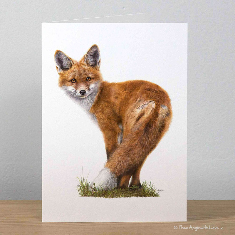 Brief Encounter Red Fox Greeting Card by Pencil artist Angie