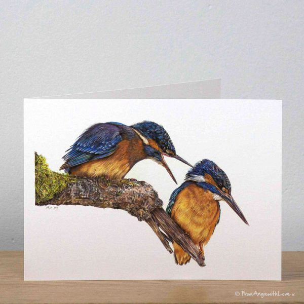 Domestic Bliss Kingfishers Greeting Card by Pencil artist Angie