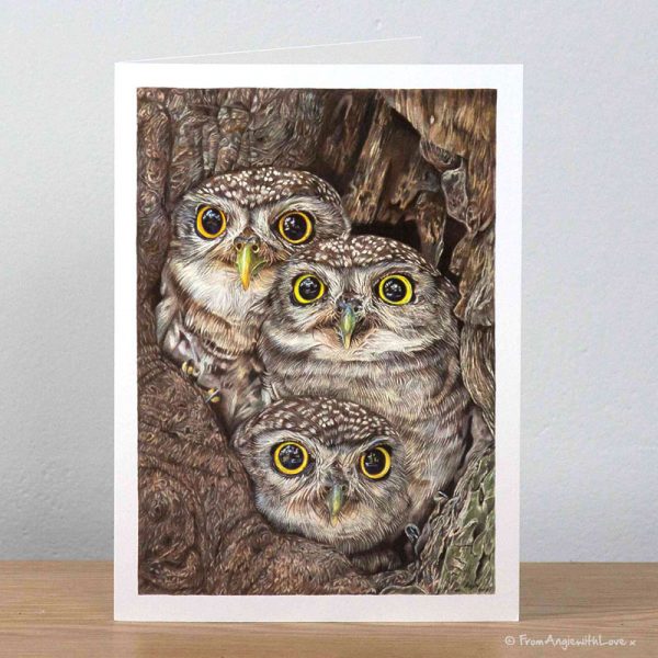 Fledging Day Little Owls Greeting Card by Pencil artist Angie