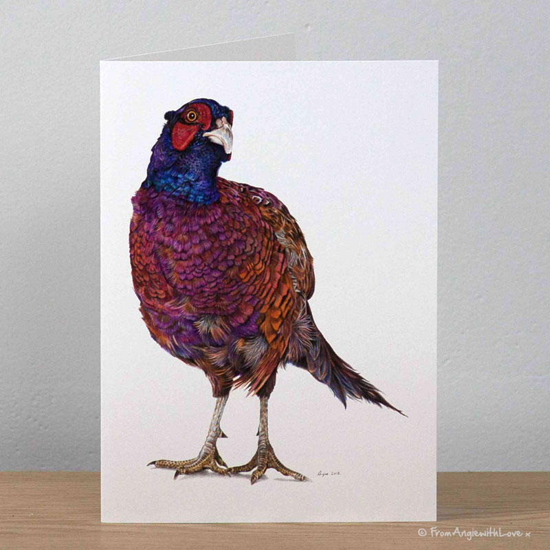 Inquisitive George Pheasant Greeting Card by Pencil artist Angie