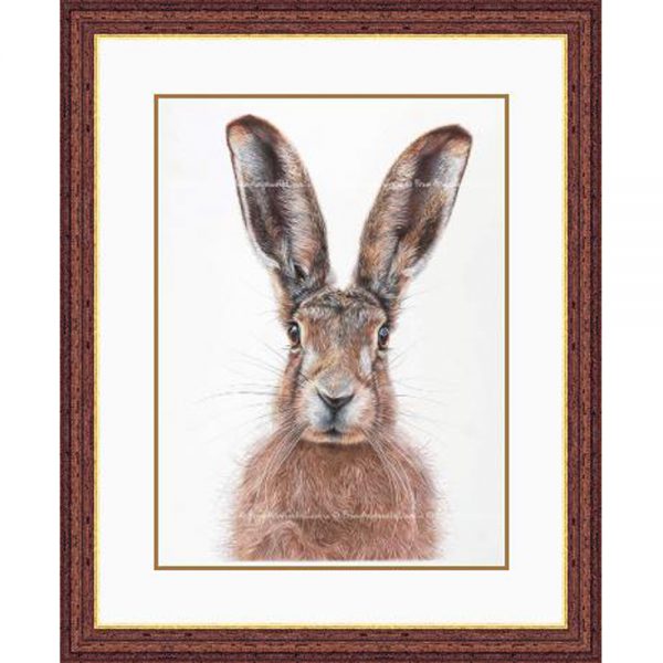 Mr Brambles - framed Brown Hare wildlife art print by pencil artist Angie