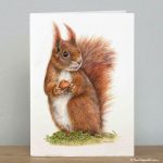 Caching In Red Squirrel greeting card by wildlife artist Angie