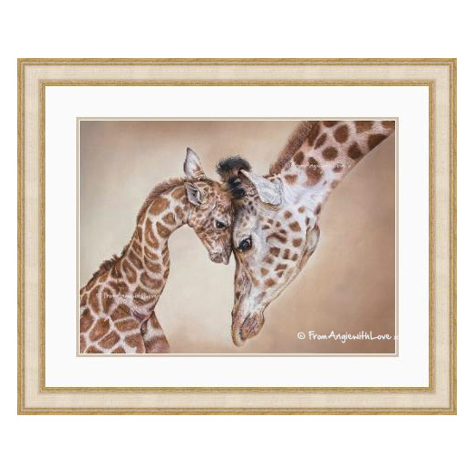 Buy limited edition prints and original wildlife art by pencil artist Angie, including beautiful Giraffe portrait 'Tenderness'.