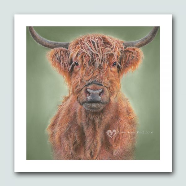 'Hamish' Highland Cow Wildlife Art Print