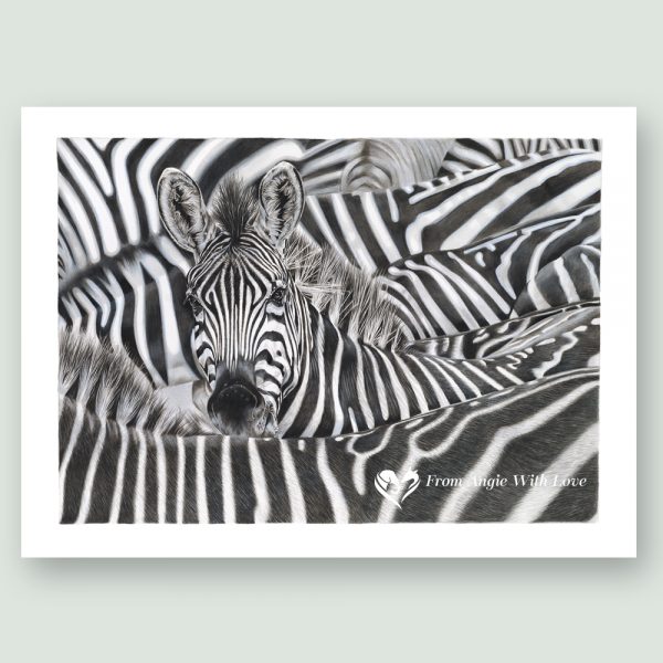 Lost in a Crowd - Coloured pencil Zebra portrait by wildlife artist Angie.