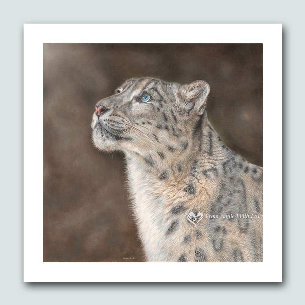 Mountain Spirit - Snow Leopard wildlife art print by pencil artist Angie x