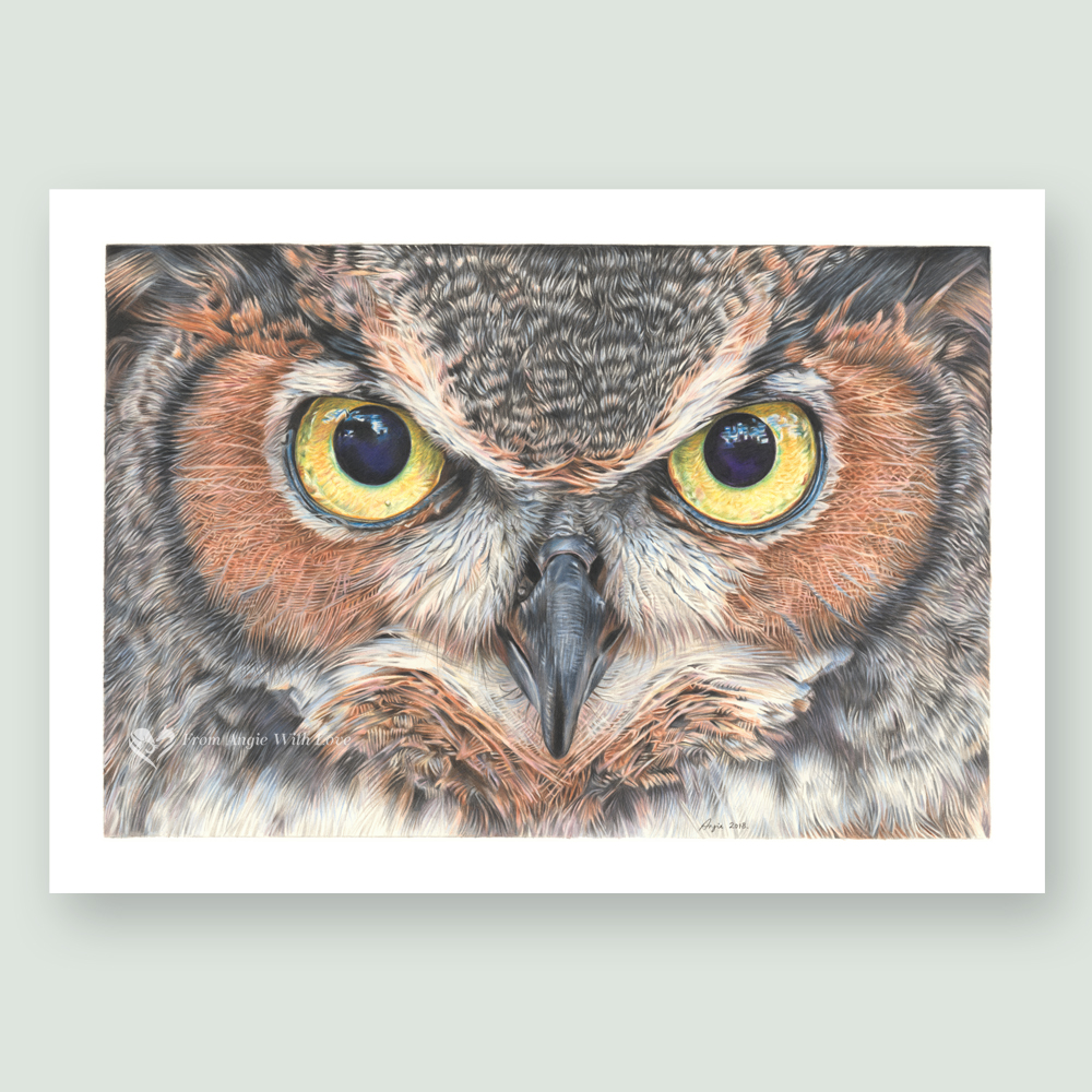 A Thousand Yard Stare - Coloured pencil Eagle Owl portrait