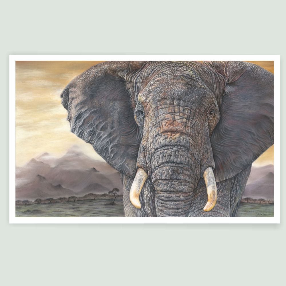 Tembo - African Elephant Portrait by Wildlife Artist Angie.
