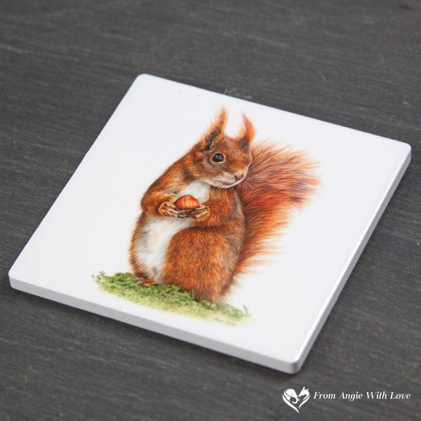 Red Squirrel Coaster - Caching In