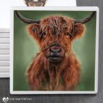 Hamish Highland Cow Coaster