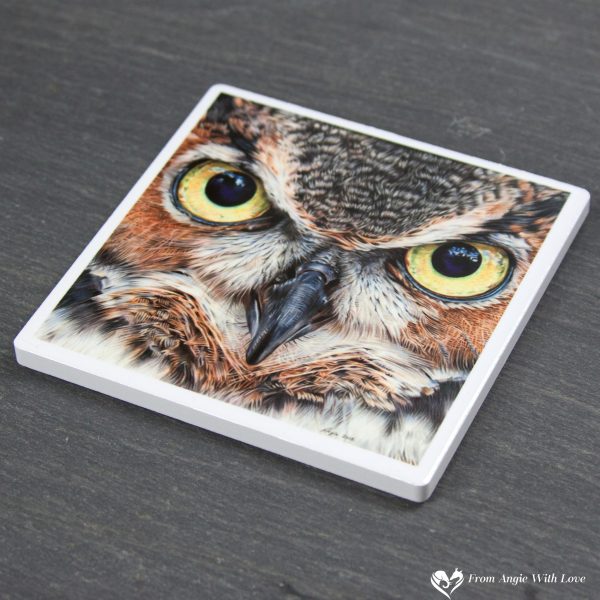 Eagle Owl Coaster - A Thousand Yard Stare