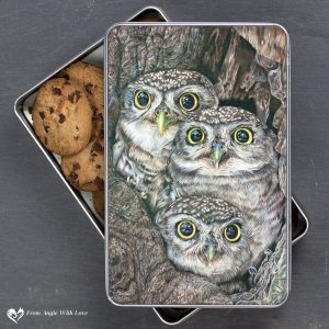 Little Owl Biscuit Tin - Fledging Day