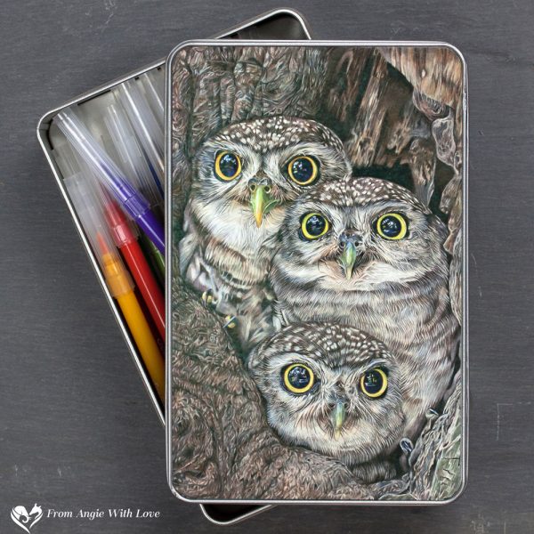 Little Owl Stationery Tin - Fledging Day
