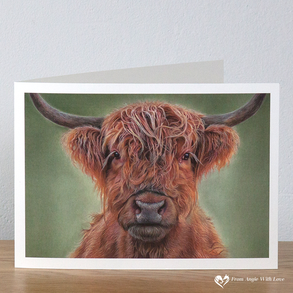 Hamish Highland Cow Greeting Card by Pencil artist Angie