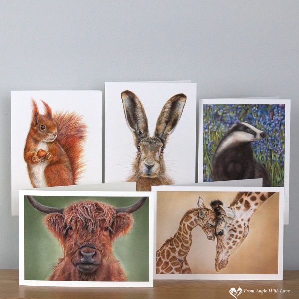 Wildlife art greeting cards pack by wildlife artist Angie