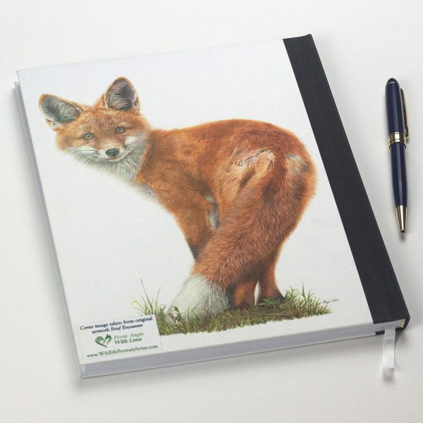 'Brief Encounter' Fox Notebook by Wildlife Artist Angie.