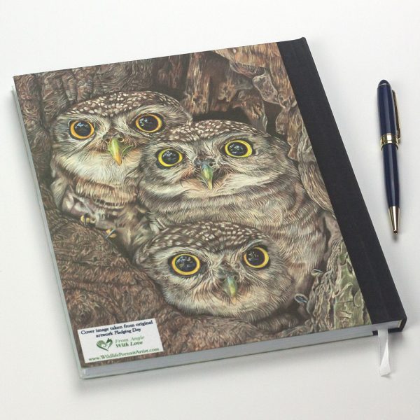 'Fledging Day' Little Owl Notebook by Wildlife Artist Angie.