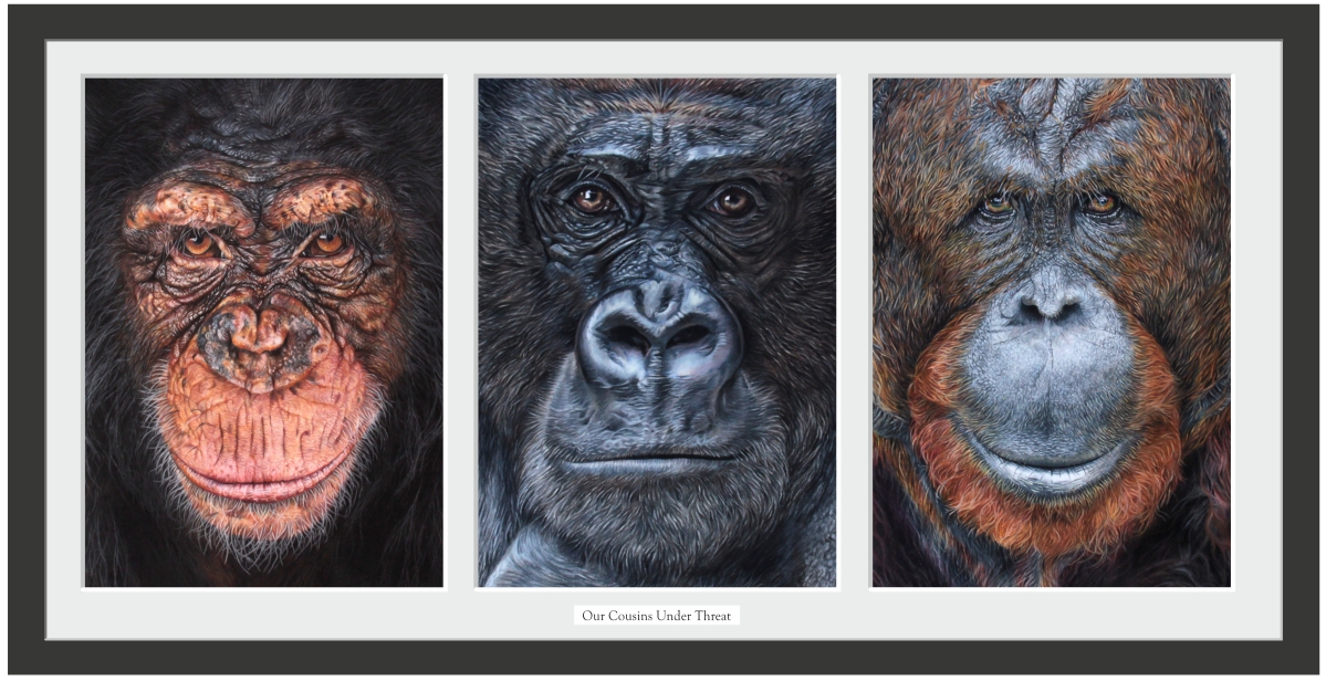 Our Cousins Under Threat - Great Apes portrait by wildlife artist Angie
