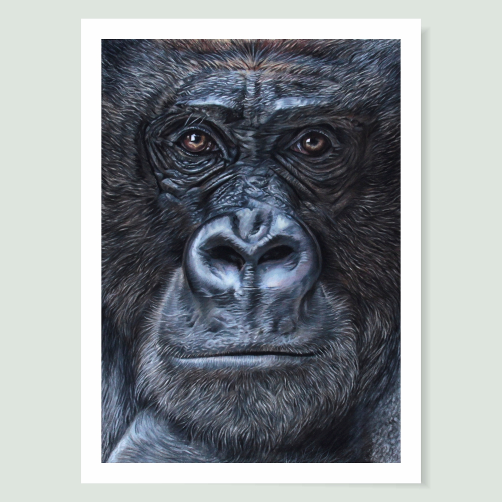 'Our Cousins Under Threat' - Gorilla art print by wildlife artist Angie