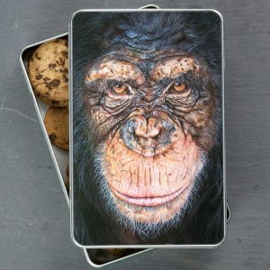 'Our Cousins Under Threat' Chimpanzee Tin by Wildlife Artist Angie