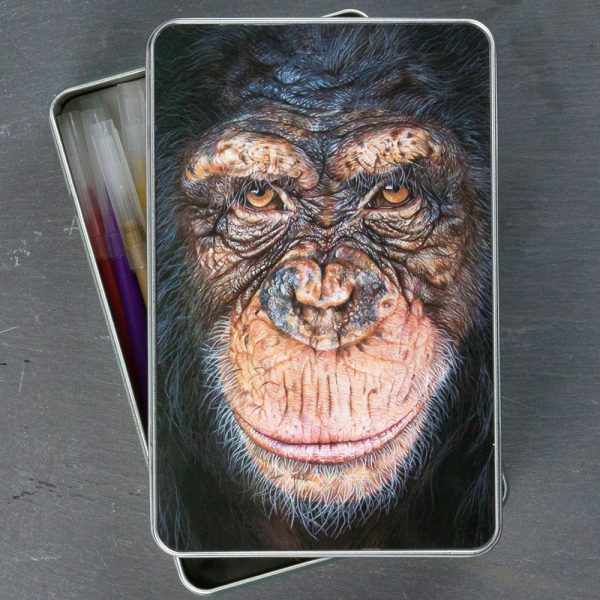 'Our Cousins Under Threat' Chimpanzee Tin by Wildlife Artist Angie