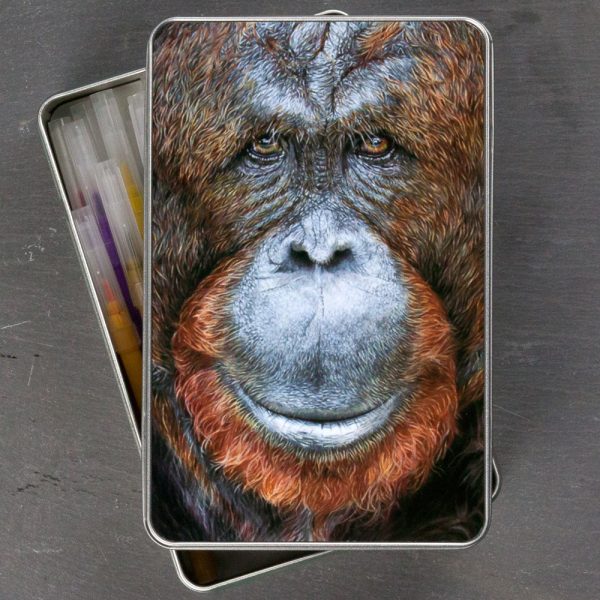 'Our Cousins Under Threat' Orangutan Tin by Wildlife Artist Angie