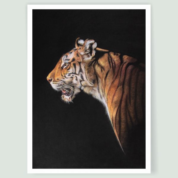 'The Huntress' - Bengal Tiger art print by wildlife artist Angie