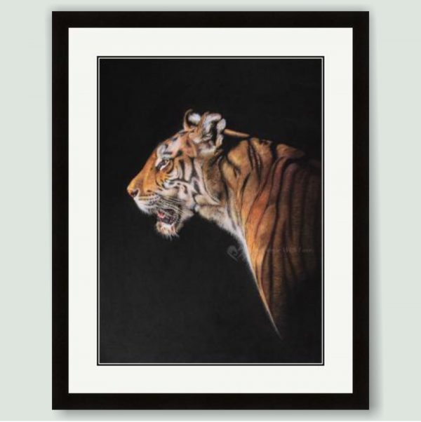 'The Huntress' - Bengal Tiger art print in Black frame by wildlife artist Angie