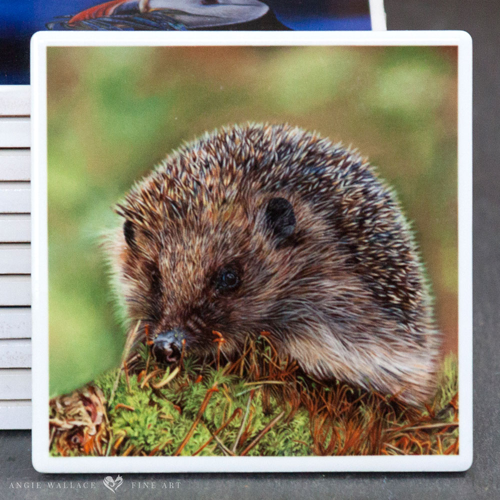 'The Forager' Hedgehog Coaster