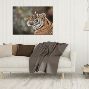 Spirit of Ranthambore - Tiger Canvas Print by Wildlife Artist Angie