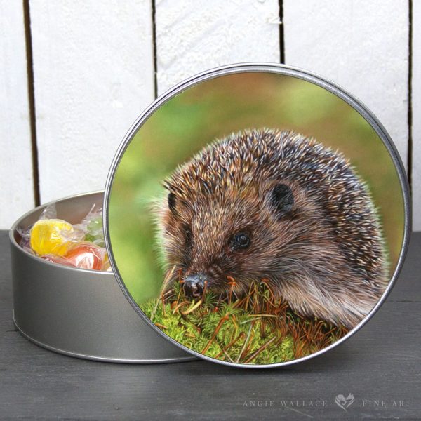 'The Forager' Hedgehog Round Tin